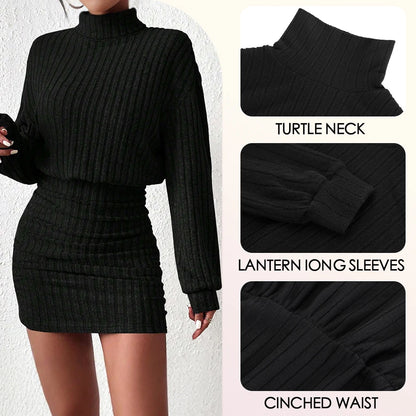"Veda Love Dress" Knitted Pullover Long Lantern Sleeve High Neck Mini A-Line Dress