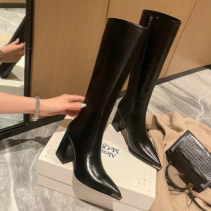 "Donna" Pointed Toe Side Zippers Long Booties